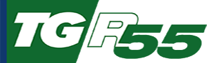 Logo TG Rete55
