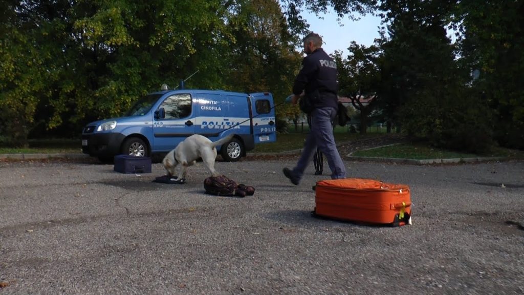 Cani antidroga alla Don Rimoldi. Ma per fare lezione