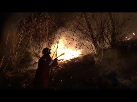 "Incendio probabilmente doloso, favorito dall'incuria"