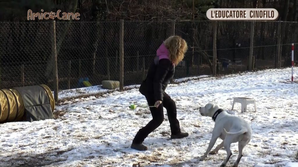 L'educatore per "Amico Cane"