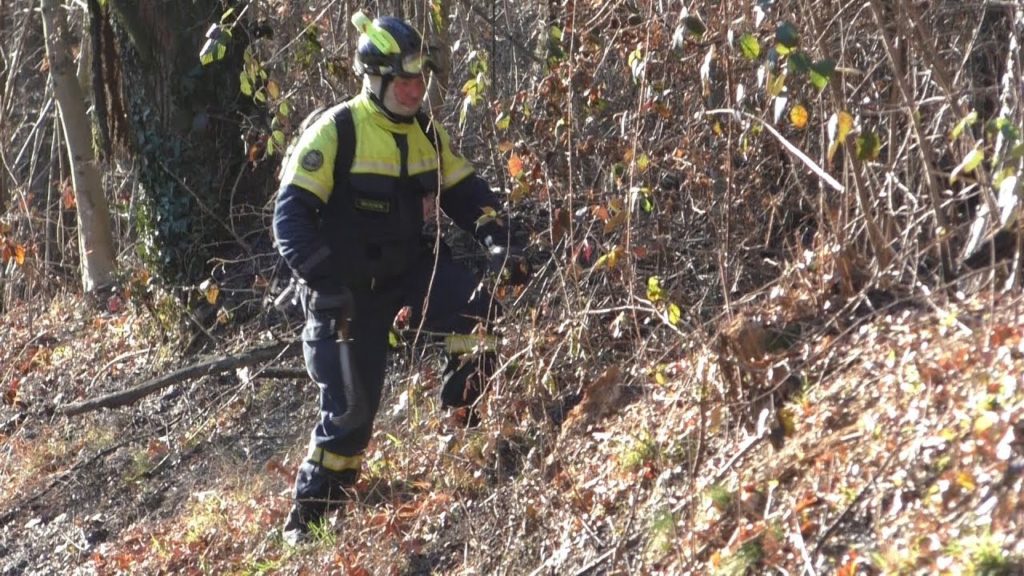 Un altro incendio. A fuoco il bosco di Castiglione