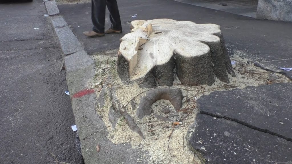 Via Roma, la strada della discordia - Vivere Saronno