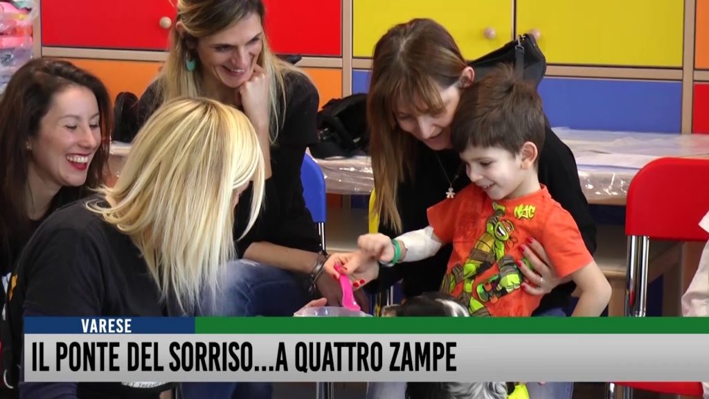 TG del 26 Febbraio 2019