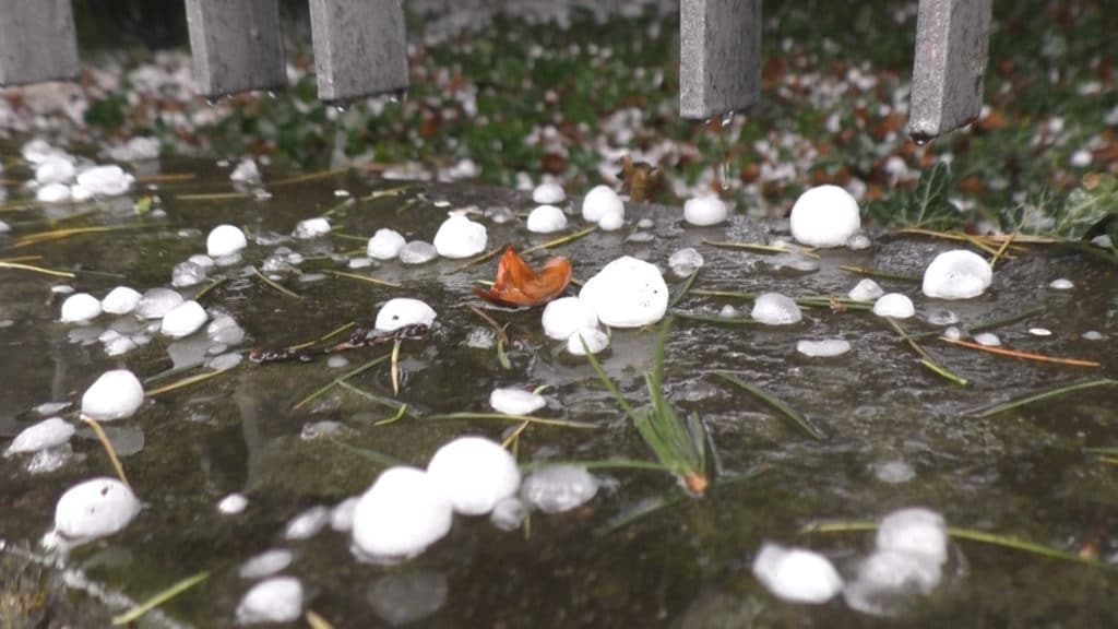 Grandine martellante, chicchi come noci