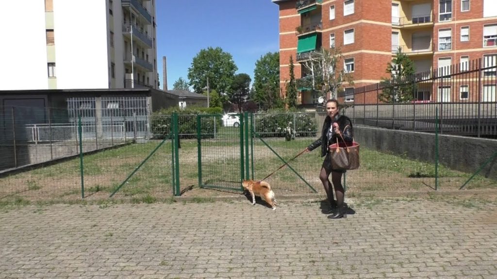 Gallarate ha un nuovo parco... a 4 zampe