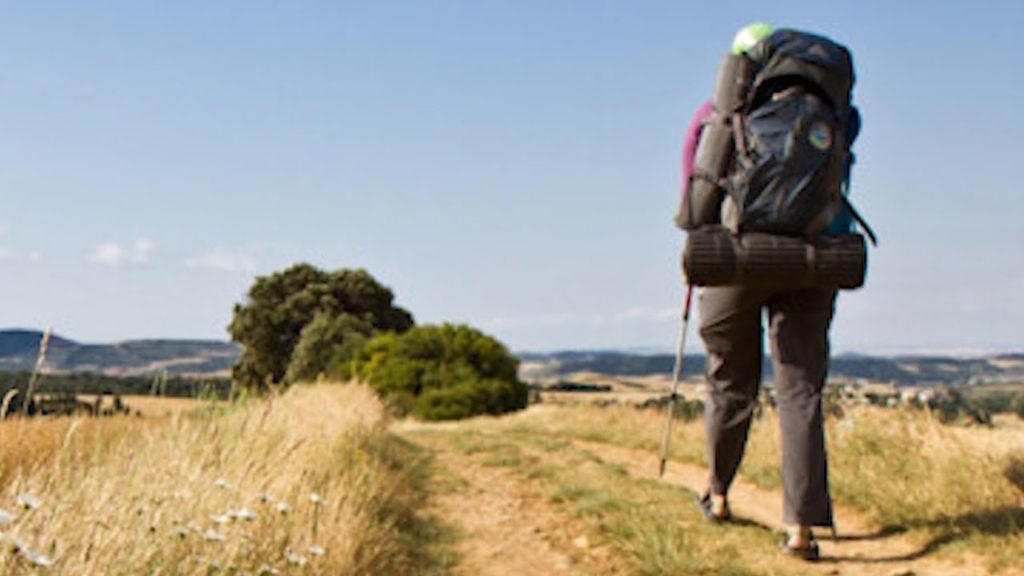 Sulle orme di Leonardo tra Volandia e Busto Arsizio