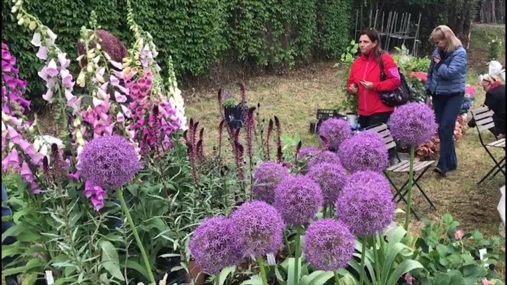 Flower show, il vento non spazza via i visitatori