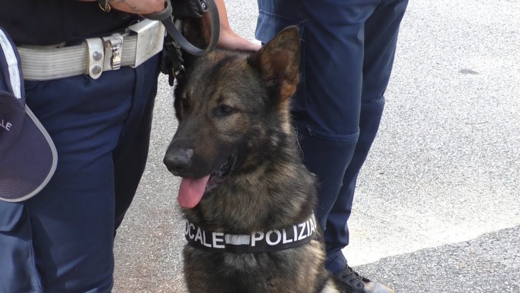 Un agente... “Ricco” di grinta