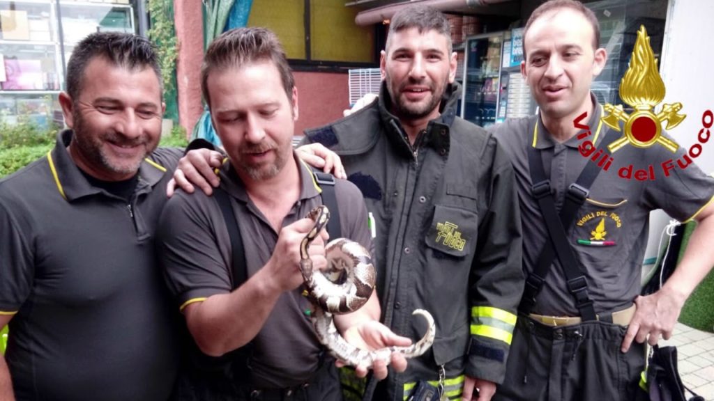 Tg del 22 Agosto 2019