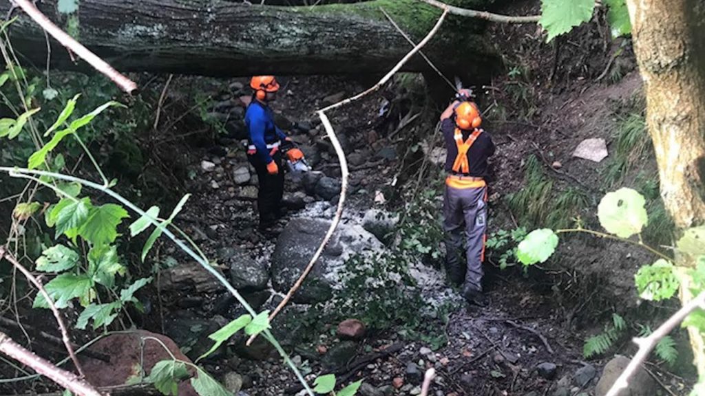 Bufera sul parco, disastro da quantificare