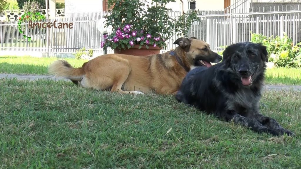 La rinascita di Sky, dal degrado all'amore