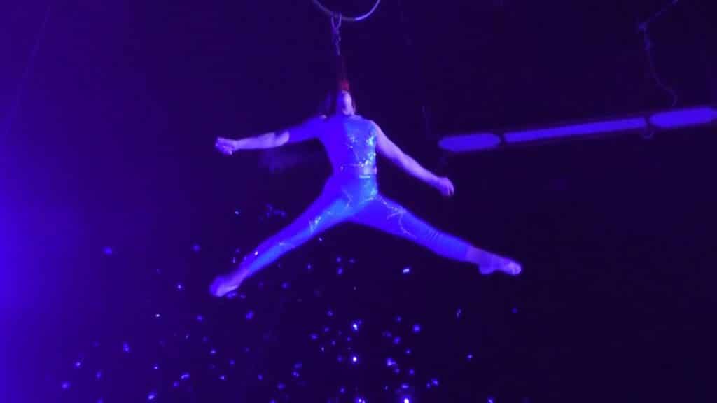 Il Bizzarro... mondo del Circo