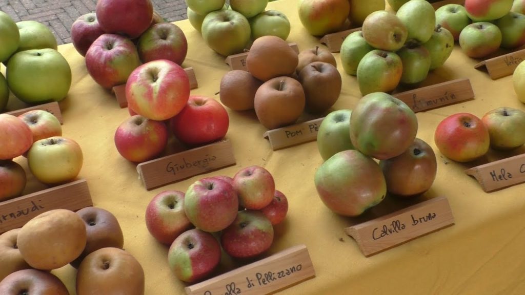 Mele, il segreto per coltivare senza pesticidi