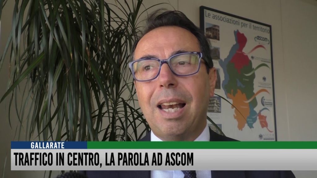 Tg del 1 Ottobre 2019