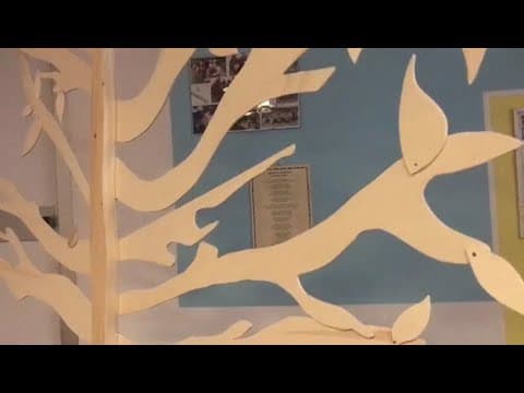 “Dateci una sede... o un albero di cachi”