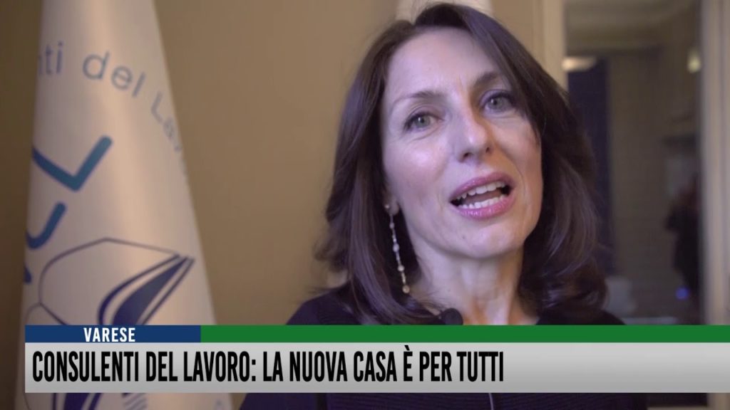 Tg del 29 Novembre 2019