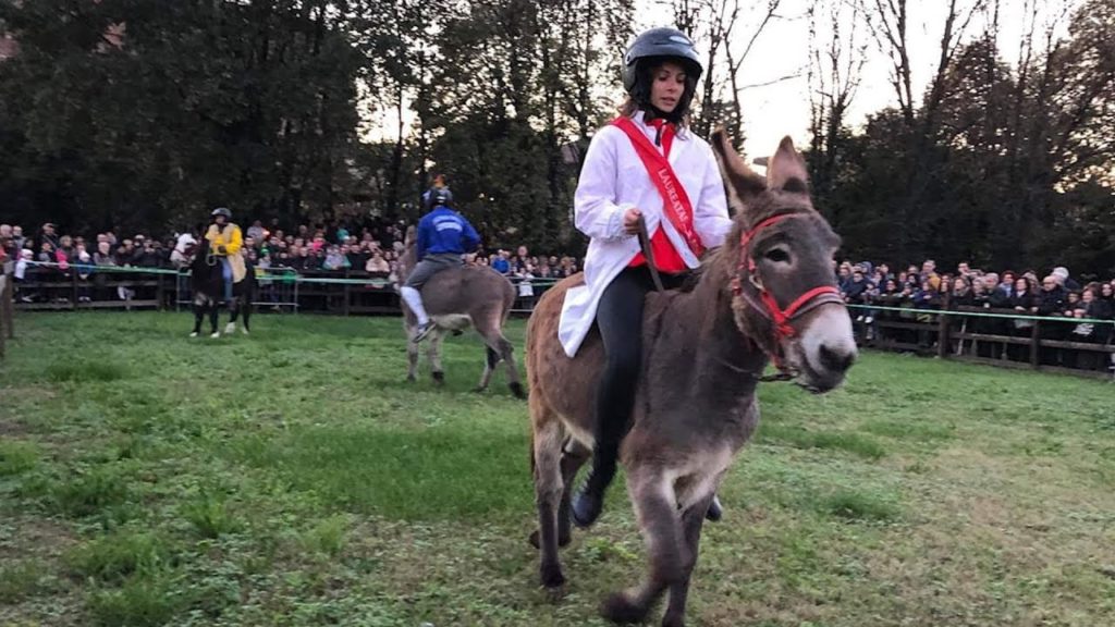 Rama di Pomm: “Mai maltrattati gli animali”