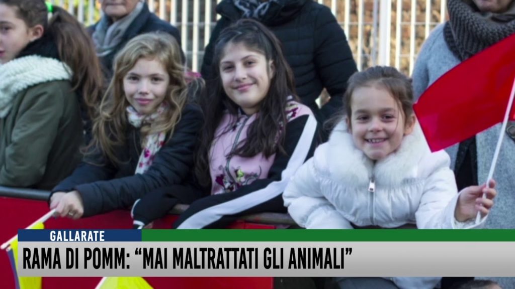 Tg del 13 Novembre 2019