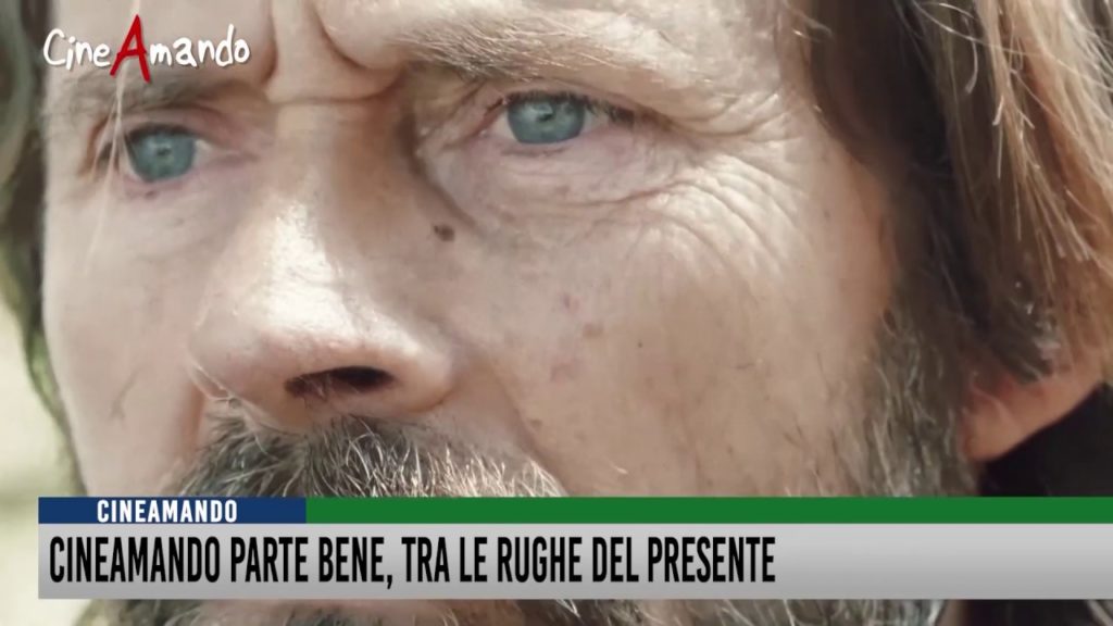 Tg del 18 Dicembre 2019