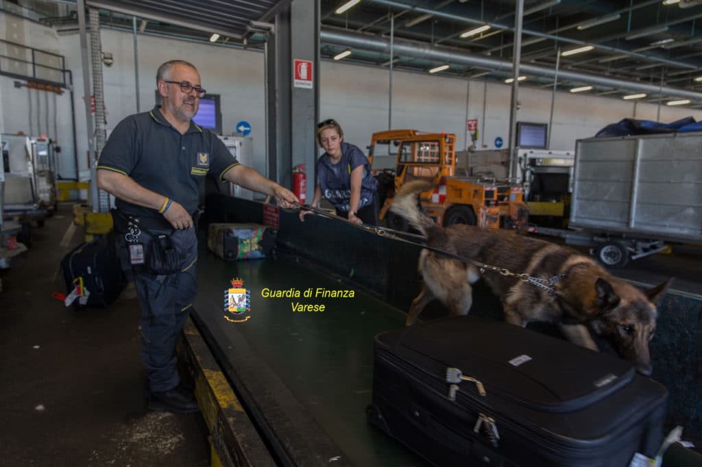 Malpensa, maga della droga in manette