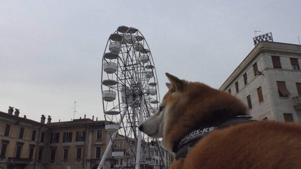 A Gallarate... gira la ruota