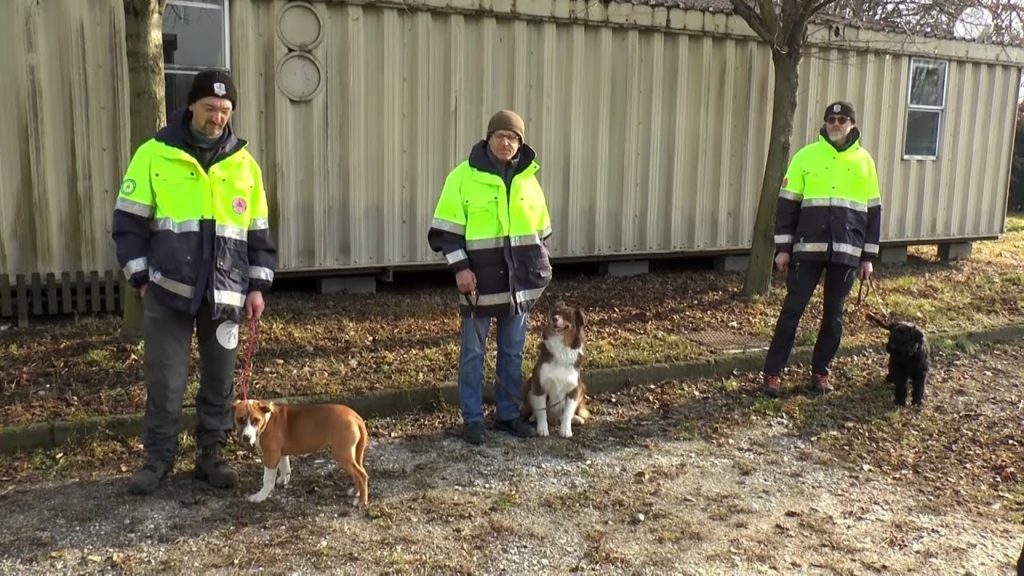 Cani da ricerca, il fiuto dell'esperienza