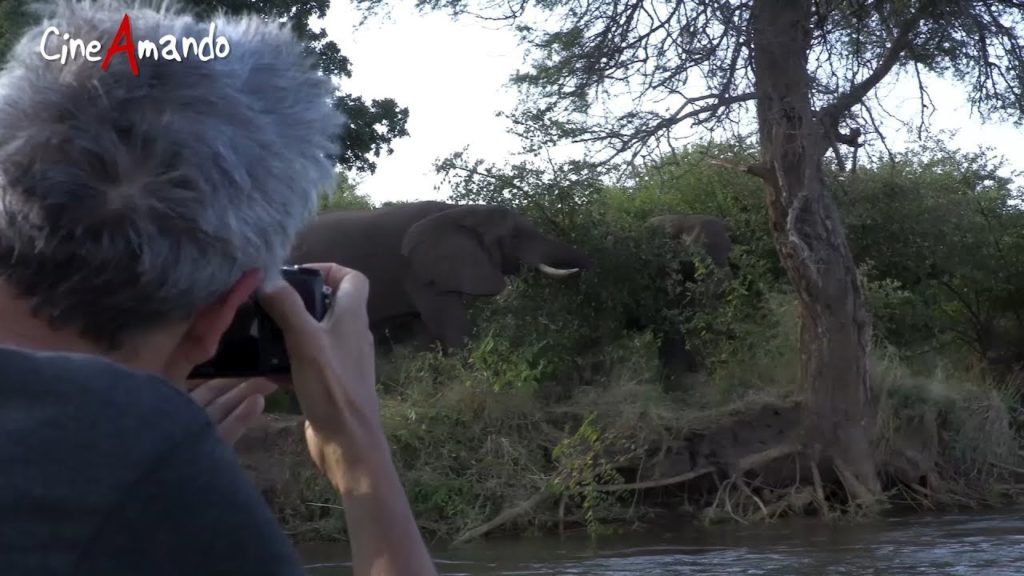 Da Varese all'Africa, i voli artistici e pindarici di Manghi