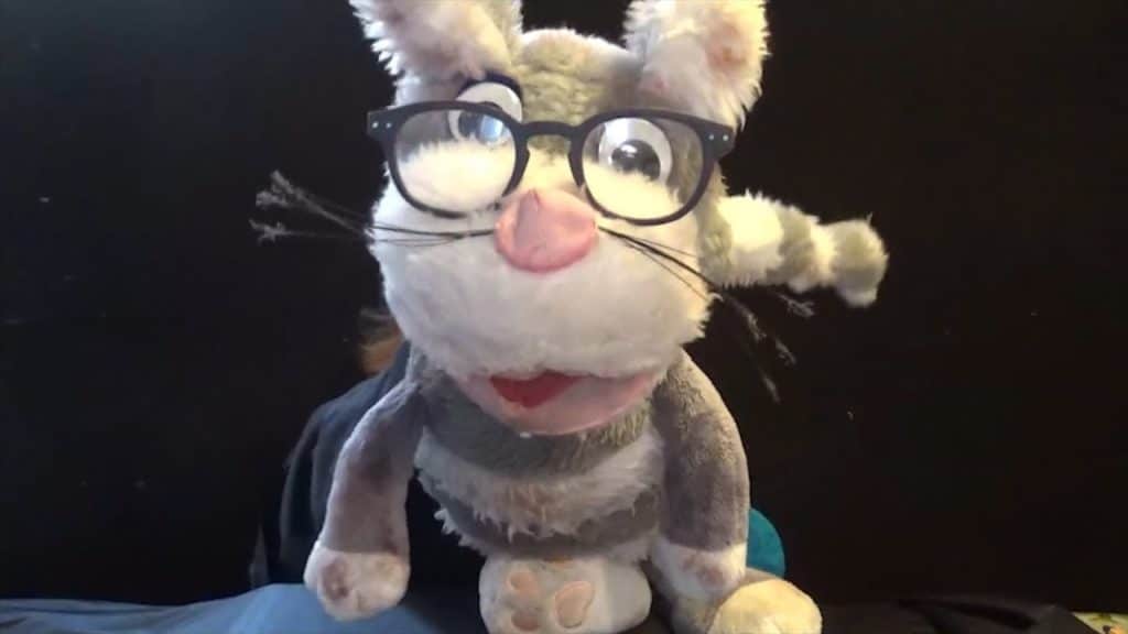 Fortunello, giornalista felino: "State a casa. E ridete"