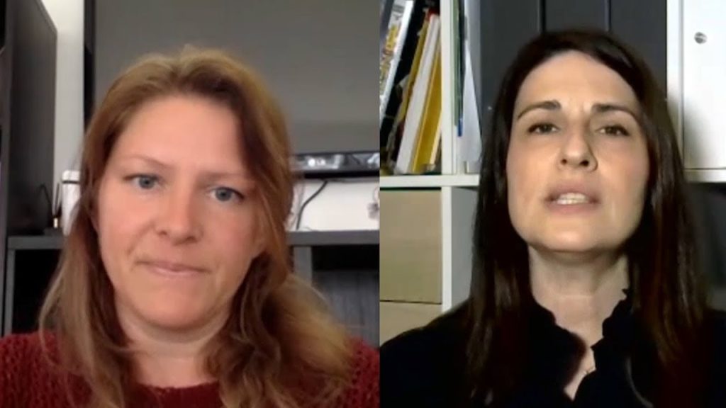 Cani e gatti, lotte da quarantena