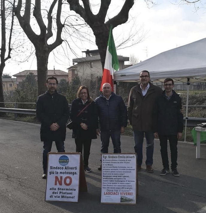 Jerago, le opposizioni: "Non toccate i platani di via Milano"