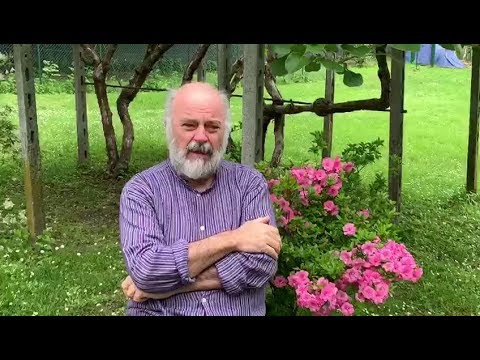 "Nature Urbane, inizio della ripartenza"