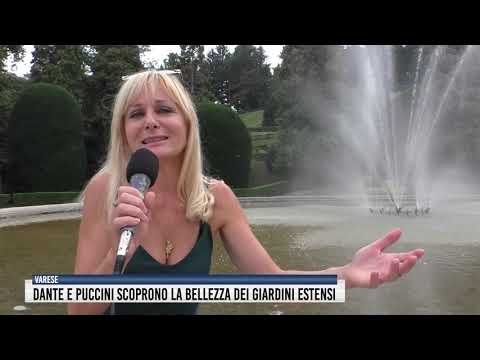 Tg del 13 Agosto 2020