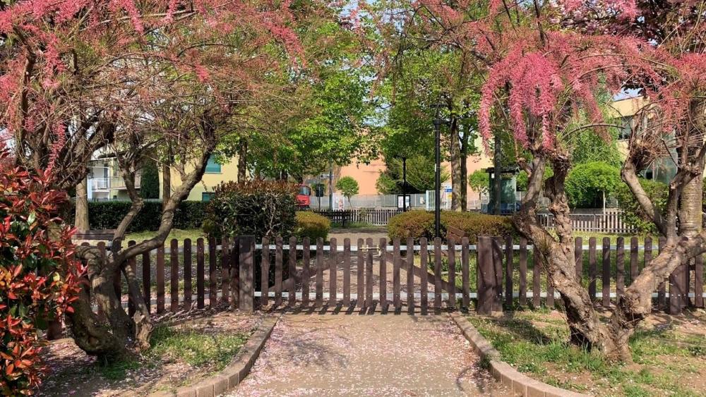 La festa virtuale della Liberazione