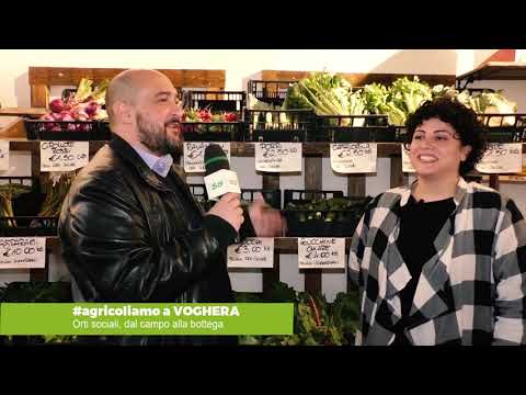 Agricoliamo | Orti sociali, dal campo alla bottega