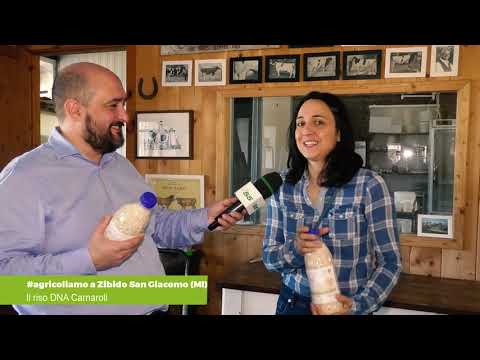 Agricoliamo | Il riso DNA Carnaroli