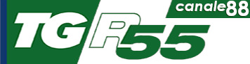 Logo TG Rete55