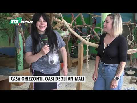 TG7 Ticino - edizione del 15 ottobre 2022