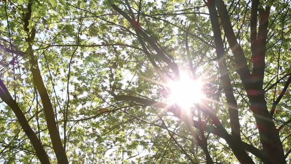 Varese: meteo 2022, il più caldo e il più soleggiato