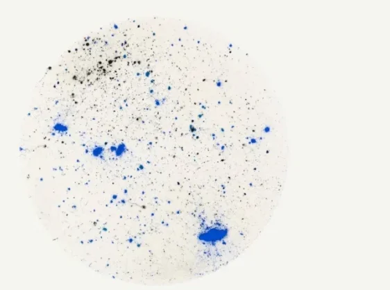 Milano: gli “scorci” di Nina Carini a San Celso