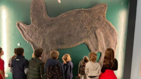 Besano: Darwin Day, bimbi alla scoperta dei Fossili