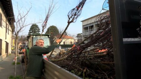 Cassano: Nuove piante e un parco per le vittime del Covid