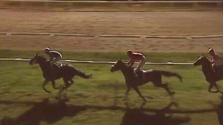 Ippica: Bettole, 5 corse in programma. Torna la TQQ