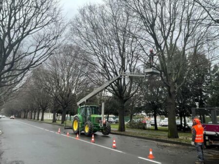 Busto: Via alla potatura nelle vie De Bustis e Toniolo