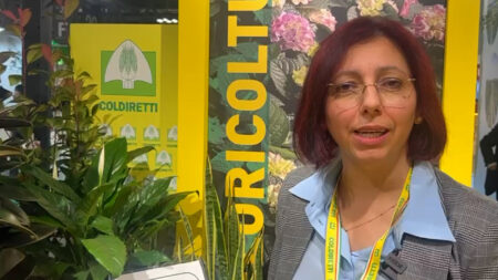 Milano: Coldiretti presenta le piante "mangia inquinanti"