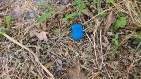 Gallarate: Bocconi killer a Crenna, indagini in corso