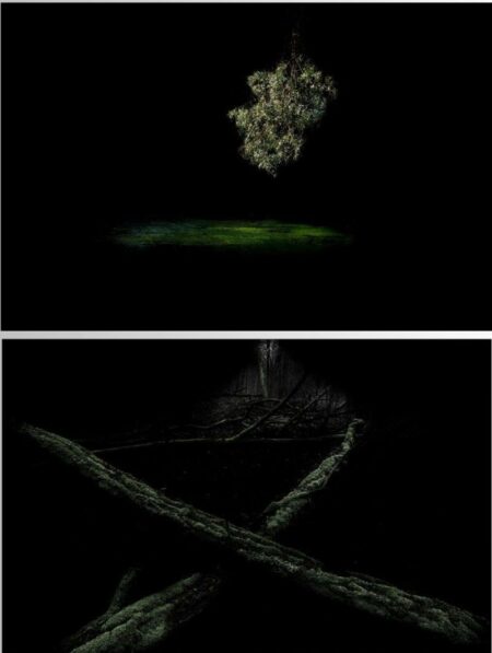 Busto: FFE, Erminio Annunzi allo Spazio Farioli