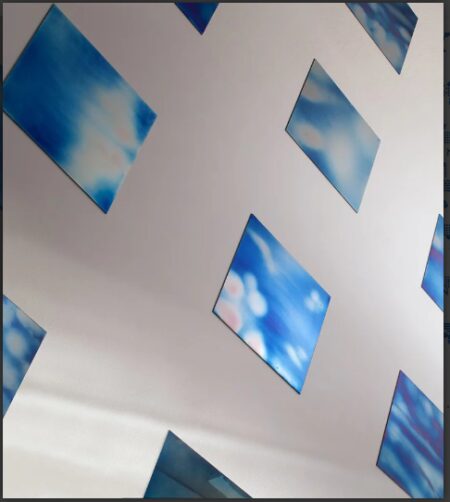 Busto A.: Alla Fondazione Bandera Bonomo e Danon a confronto