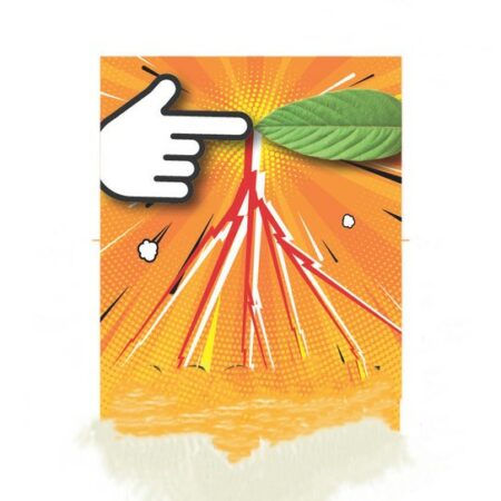 Varese: “Scossa” in sala Veratti