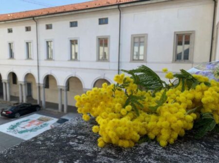 Busto: Festa della donna, poker d’iniziative in giallo