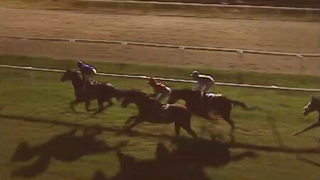 Ippica: In corsa alle Bettole Ispra, Ranco e Monvalle